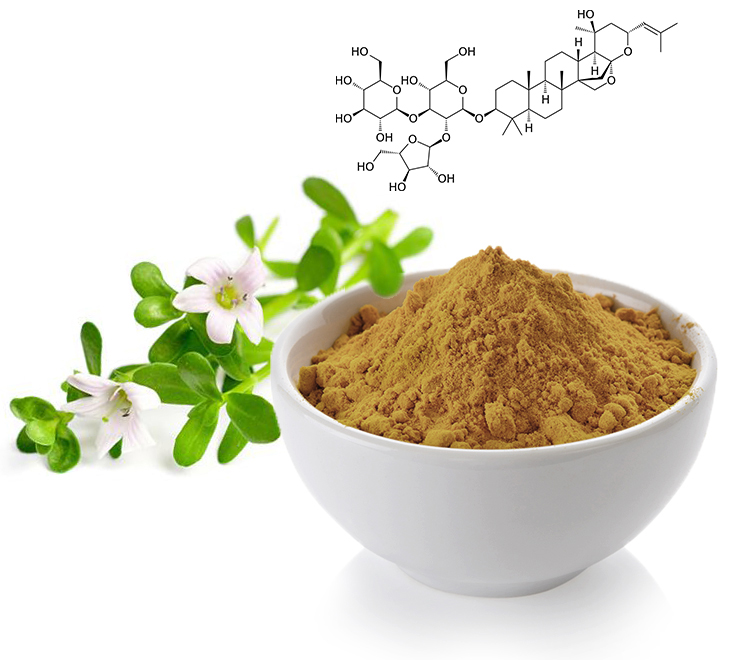 Rhodiola növényi por