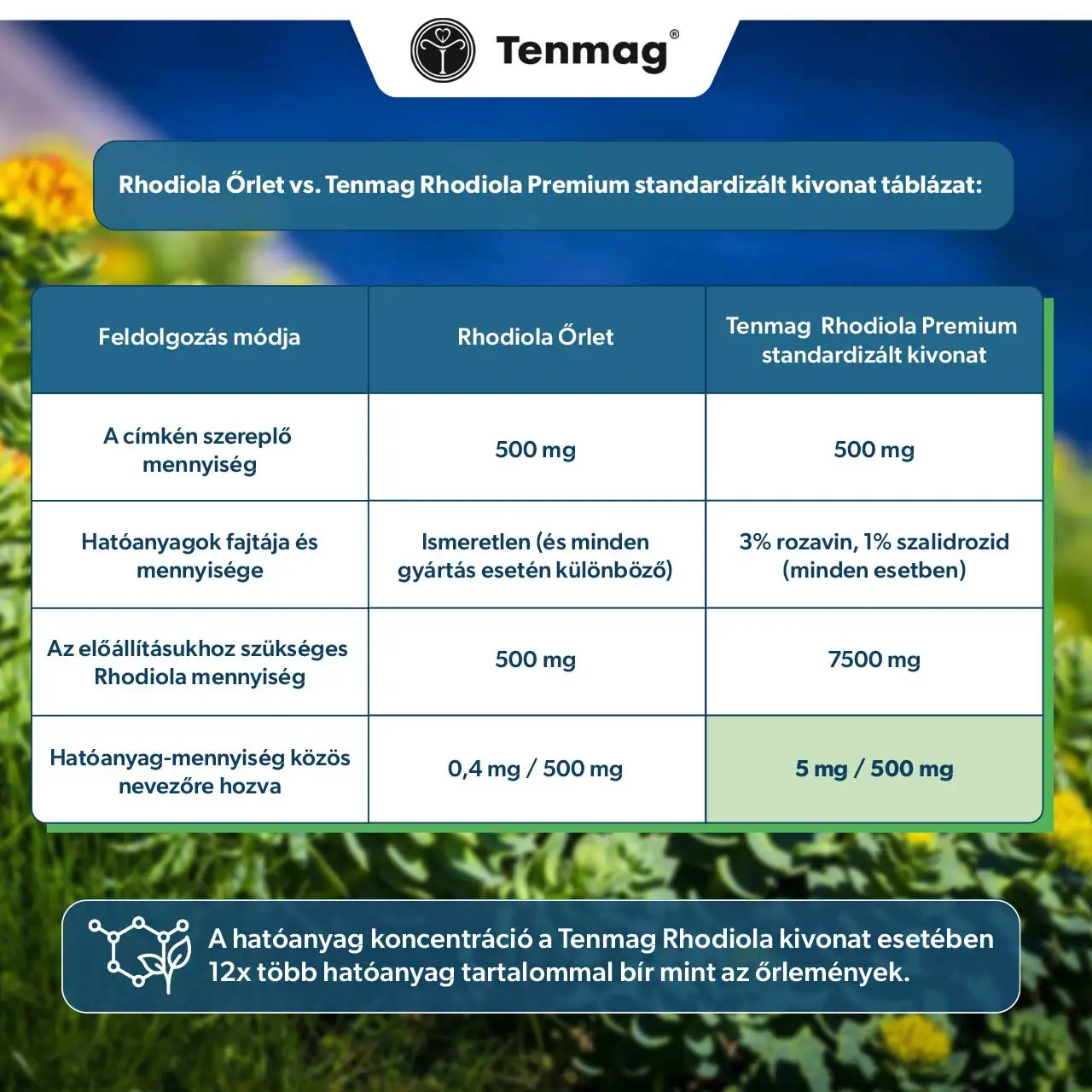 Tenmag Rhodiola Premium Kivonat