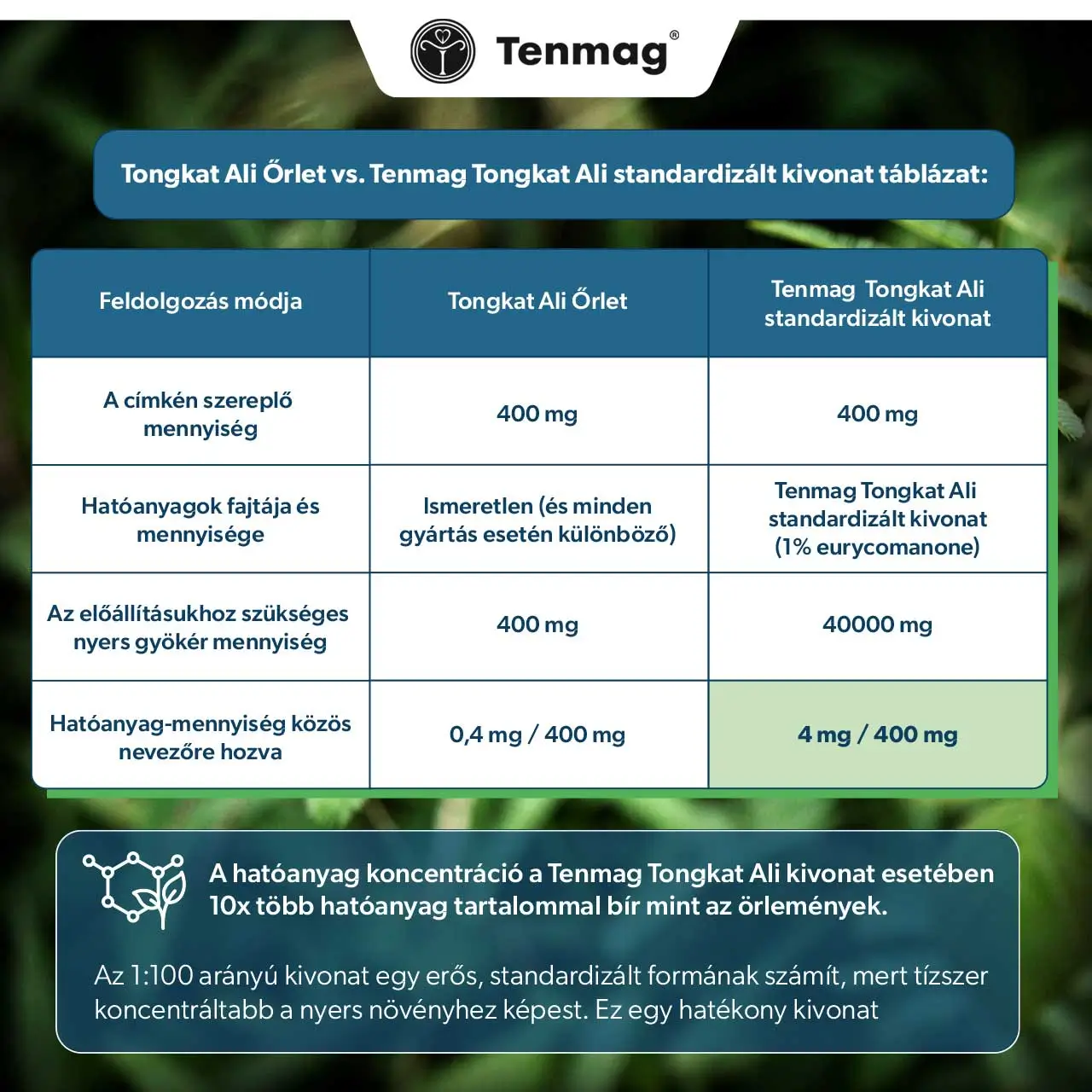 Tenmag Tongkat Ali kivonat